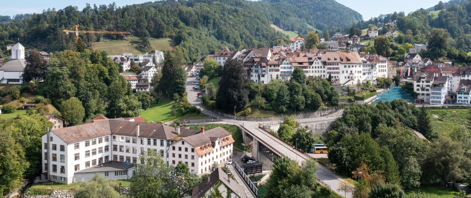 Bild von der Altstadt von Lichtensteig