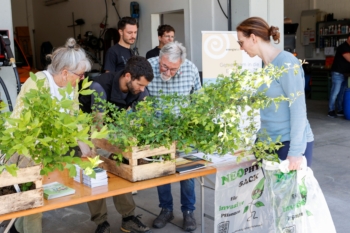 Bild von der Neophyten-Tauschaktion im Jahr 2025