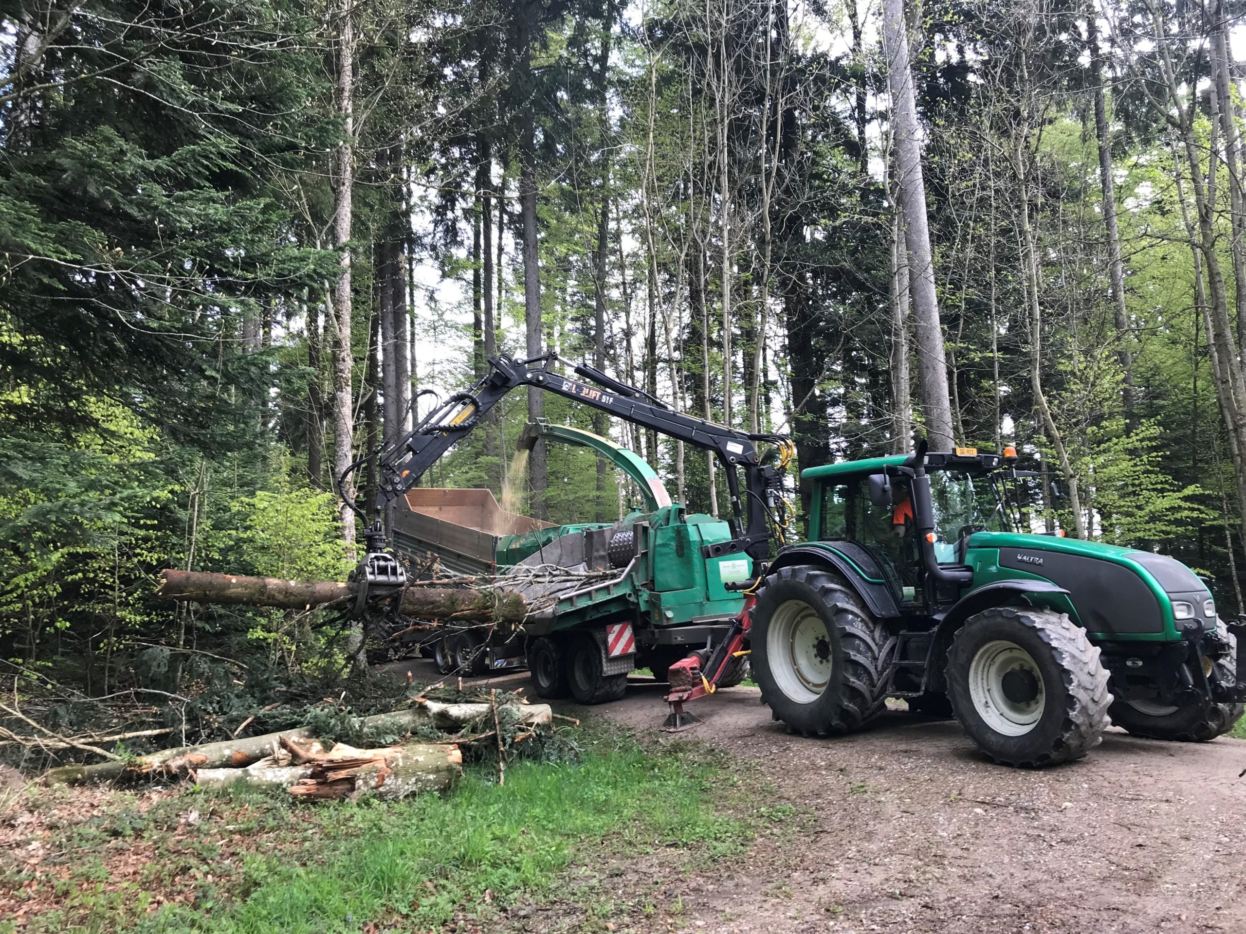 Mit modernen Maschinen wird heute Holz geerntet und gleich im Wald verarbeitet