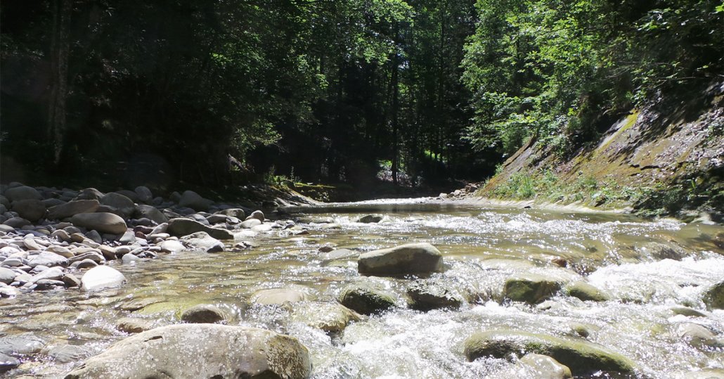 Fluss in steinigem Bachbett im Wald